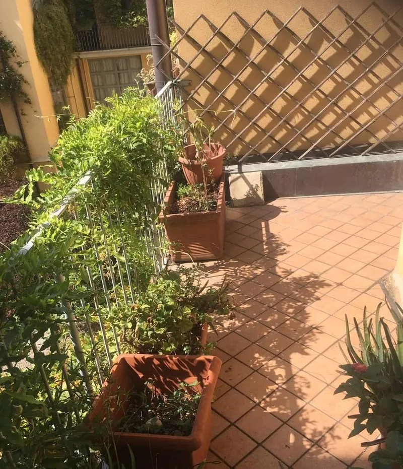 Two-room flat with a terrace