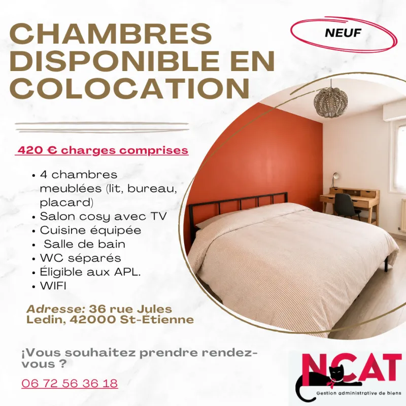 Chambres disponible en colocation